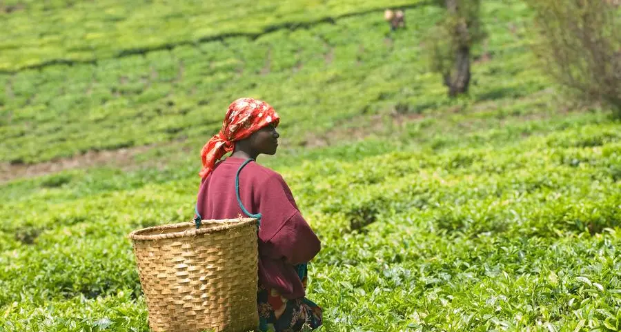 Kentegra seeks\u00A0feasibility study proposals for new PRE facility in Kenya\n