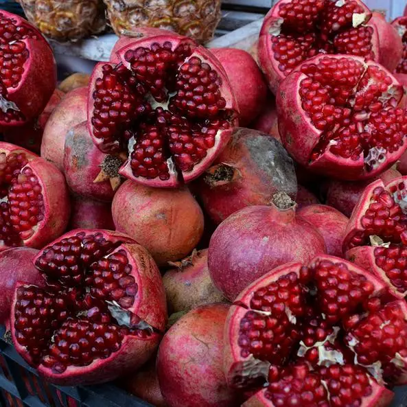 Jordan: Pomegranate harvest starts in Koura district