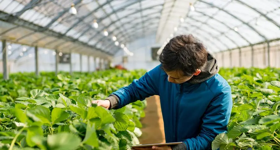 Topian opens first climate-resilient greenhouse in Saudi's NEOM