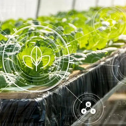 How IoT solutions could revolutionise agritech in South Africa