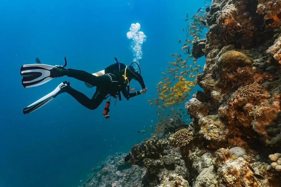 Getty Images/Getty Images/Cavan Images RF