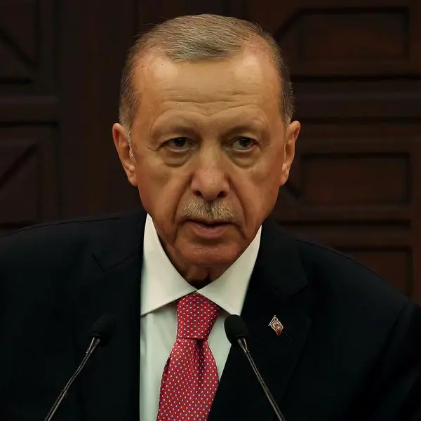 Erdogan proposes destroyed dam probe in Zelensky call