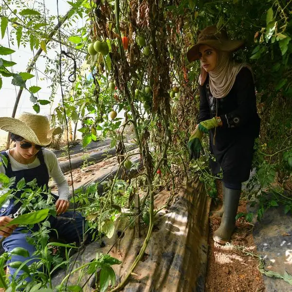 Algerian women pioneer eco-friendly farming