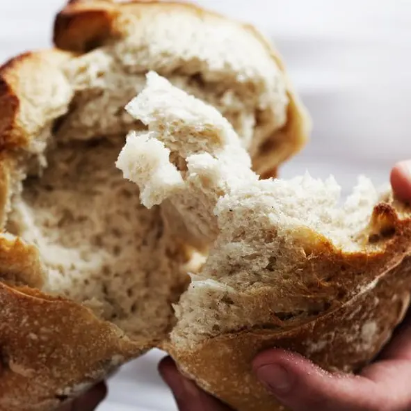 South Africa: Sasko halts bread production following 'rat in bread' incident