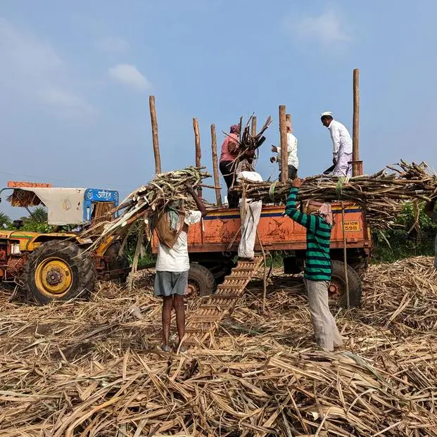 Indian sugar mills end season with higher than expected output