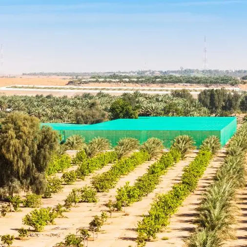 Abu Dhabi issues decision regulating small-holder plant production farms