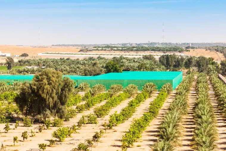 Abu Dhabi issues decision regulating small-holder plant production farms
