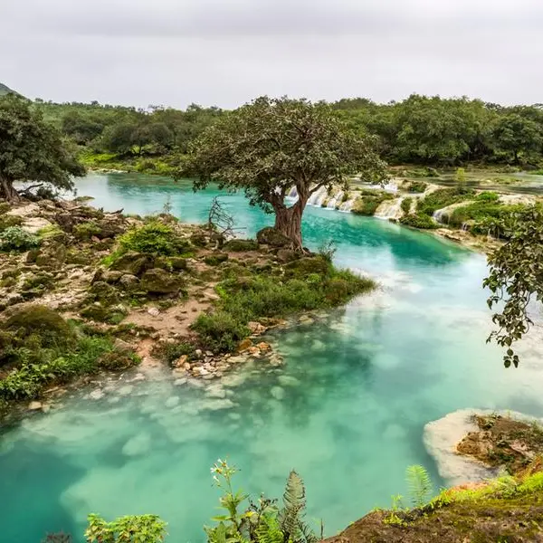 Khareef Dhofar Season: A gateway to local tourism