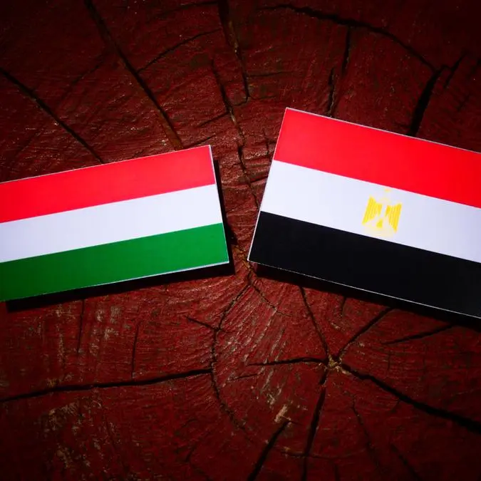 Egypt, Hungary probe boosting bilateral cooperation
