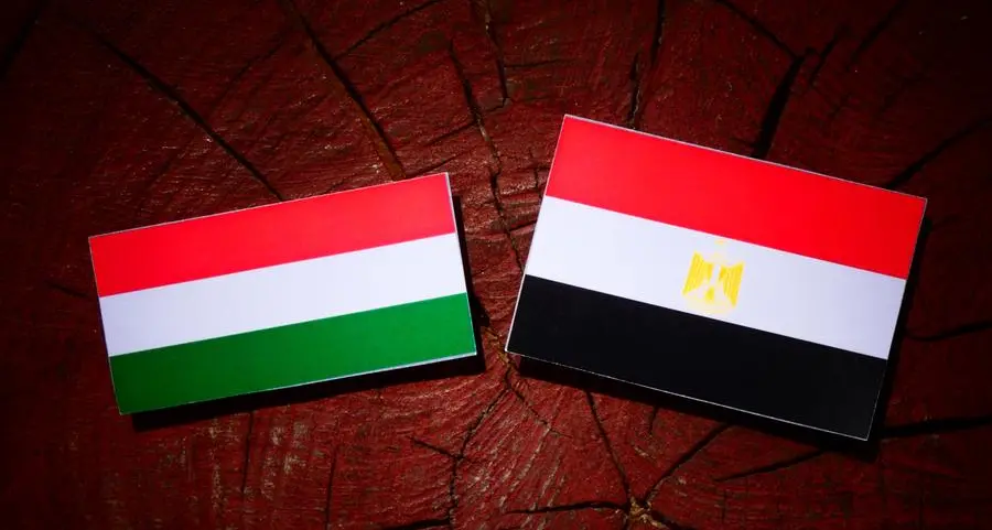 Egypt, Hungary probe boosting bilateral cooperation