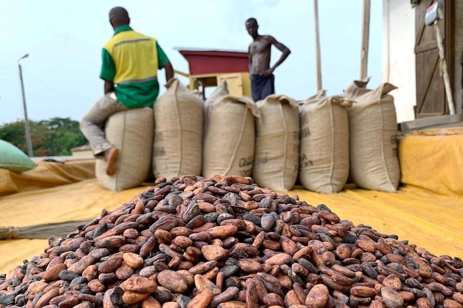 Ghana cocoa output to slide 31 in 2021/22 due to 'catastrophic' conditions