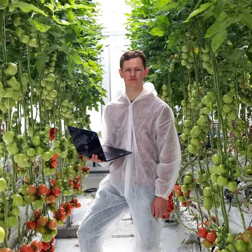 The Netherlands contributes to UAE’s food security strategy with innovative horticulture solutions