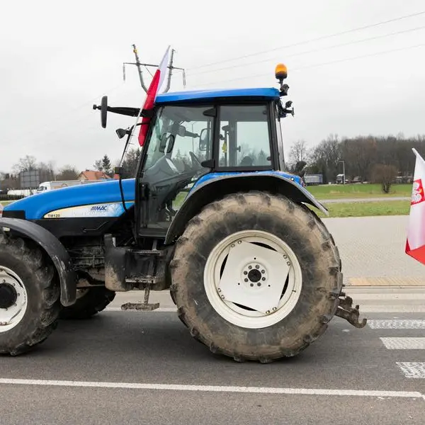 Poland finalising grain subsidies for farmers, deputy minister says