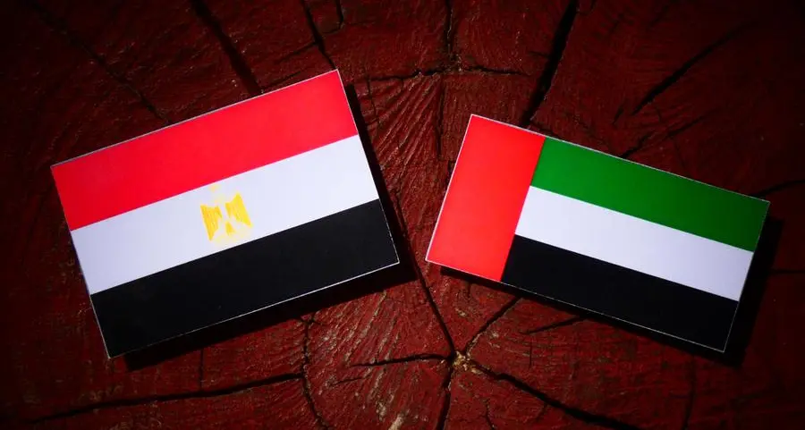 Egypt, Yemen, UAE eye bolstering economic, trade ties