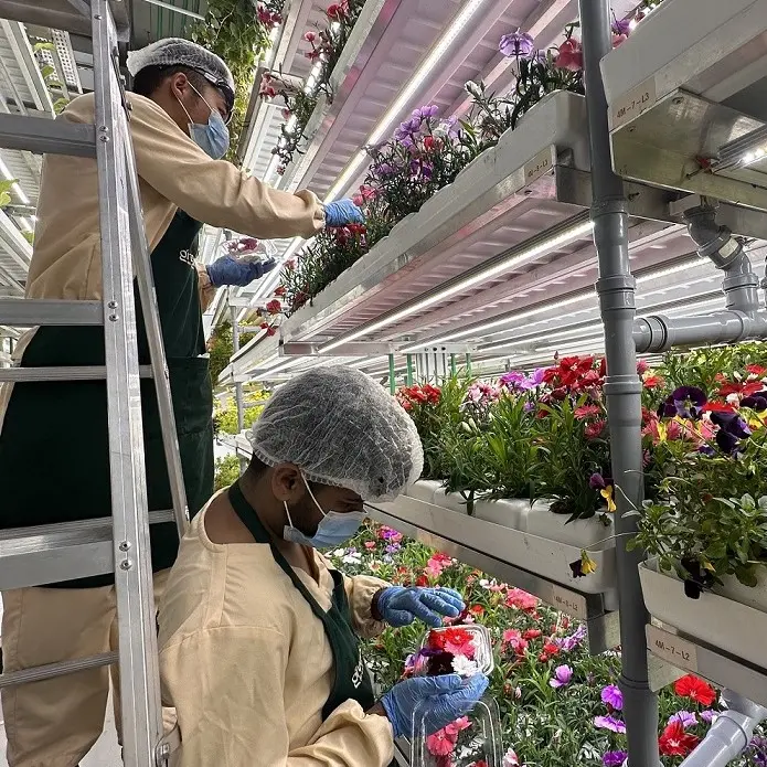 UAE: Greeneration, Harvest IQ to boost distribution for luxury hospitality