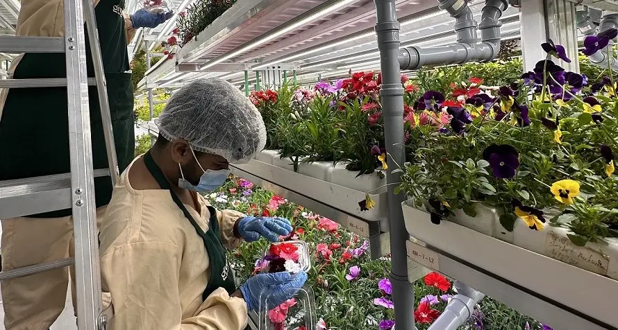 UAE: Greeneration, Harvest IQ to boost distribution for luxury hospitality