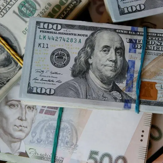 Ukraine's foreign currency reserves hit a new 11-year high