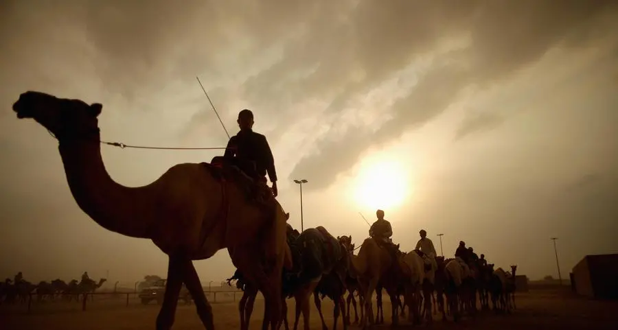 Mohammed bin Rashid issues decree on Dubai Camel Racing Club