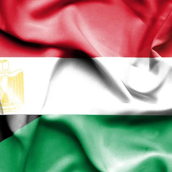 Hungarian Minister visits Egypt to discuss trade, investment opportunities