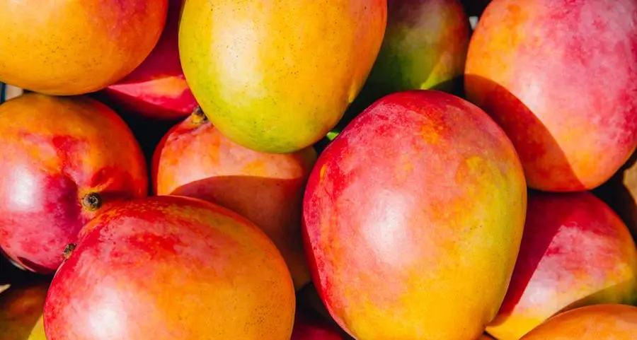 Saudi Arabia achieves 68% self-sufficiency in mango production
