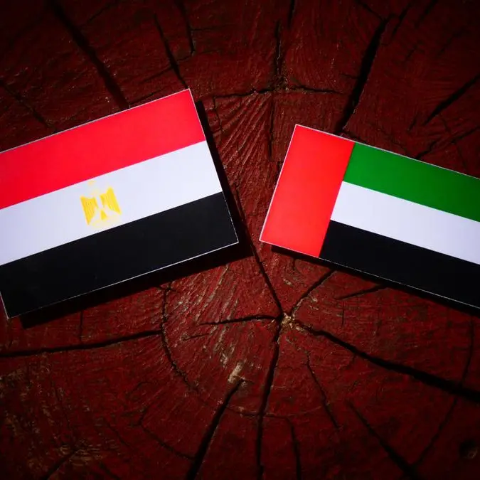 Egypt, UAE review strengthening strategic cooperation