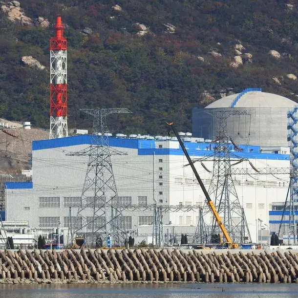 South Korea's closely watched nuclear power pivot: Maguire