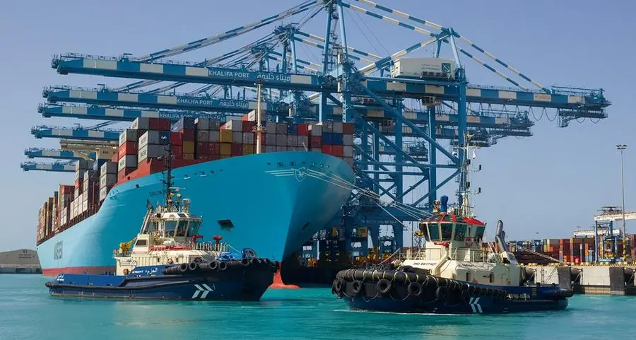 UAE's AD Ports to invest $16.5mln to acquire 60% stake in Georgia's dry port
