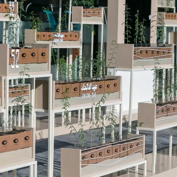 Museum of the Future gifts 2071 Ghaf trees to visitors during 52nd Union Day