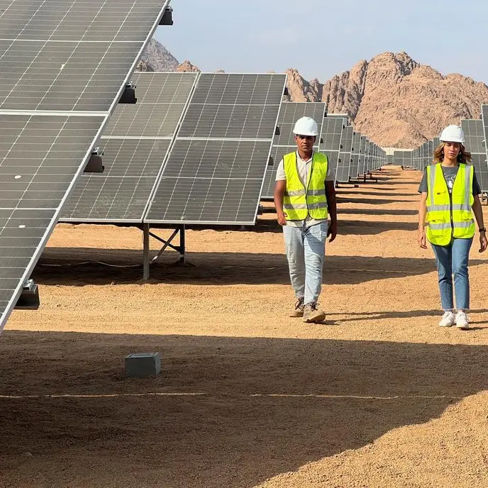 Egyptian-Japanese alliance to establish 20-MW solar PV power plant