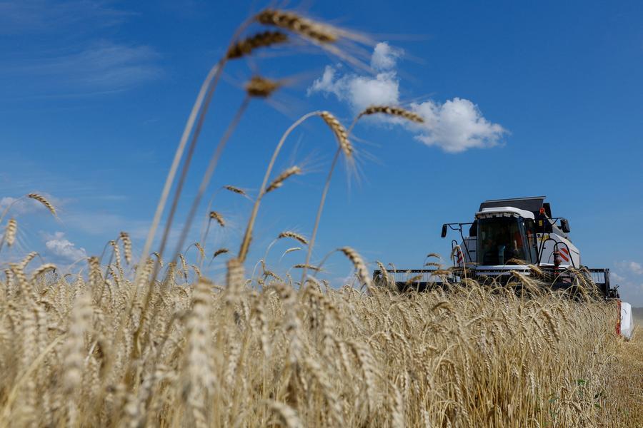 Ukraine Asks Farmers For 2024 Sowing Plans Amid Difficulties With Exports   Ukraine Crisis Grains Luhansk 