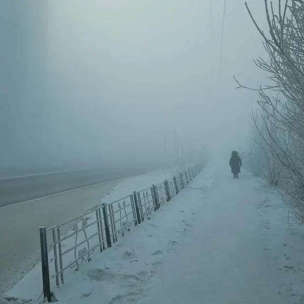 Swathes of Siberia freeze in temperatures below -58 Celsius