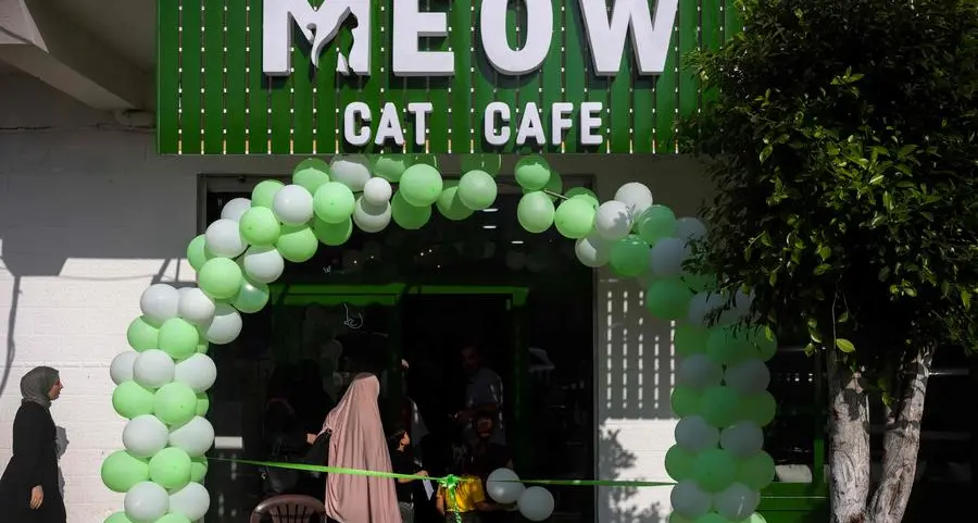 Cat cafe brings pawsitivity to war-scarred Gaza