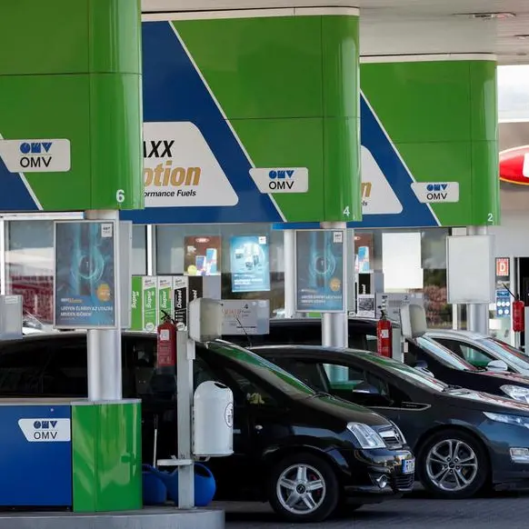 Hungary to consider intervention into fuel prices -economy minister