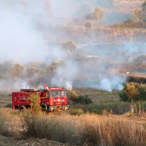 Israel thwarts infiltration bid from Lebanon, killing four: army