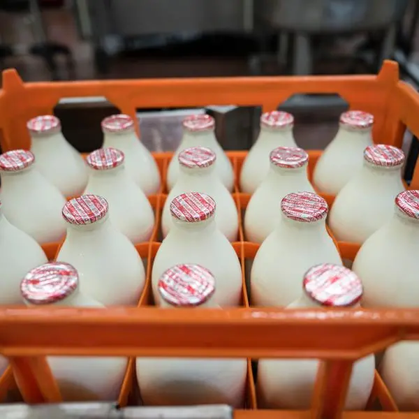 Politics of milk in East Africa: How trade in dairy sector turned sour