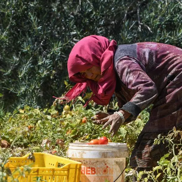 Tunisia: Desalination projects boost agricultural production and diversification in Mahdia