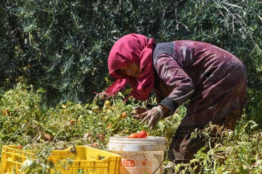 Agence France-Presse (AFP)/AFP