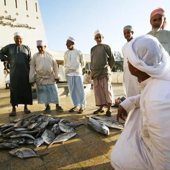 MoAFWR takes stock of kingfish in Oman