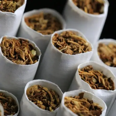\"الشرقية للدخان\" ترفع أسعار السجائر في مصر