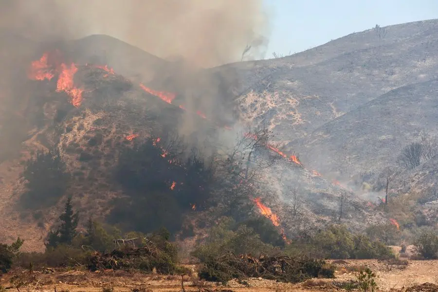 Deadly wildfires scorch Mediterranean