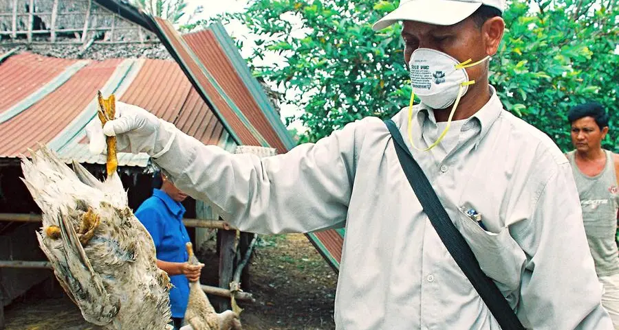 Cambodian girl dies from bird flu