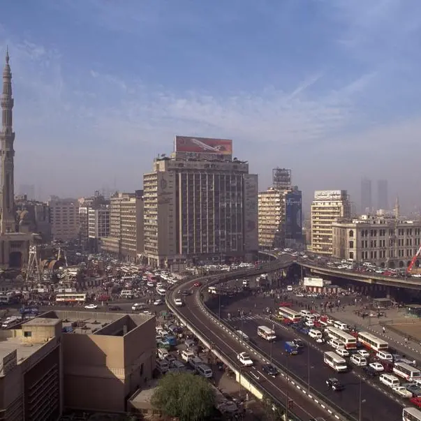 Economic challenges require new strategies to attract foreign investments: Egypt