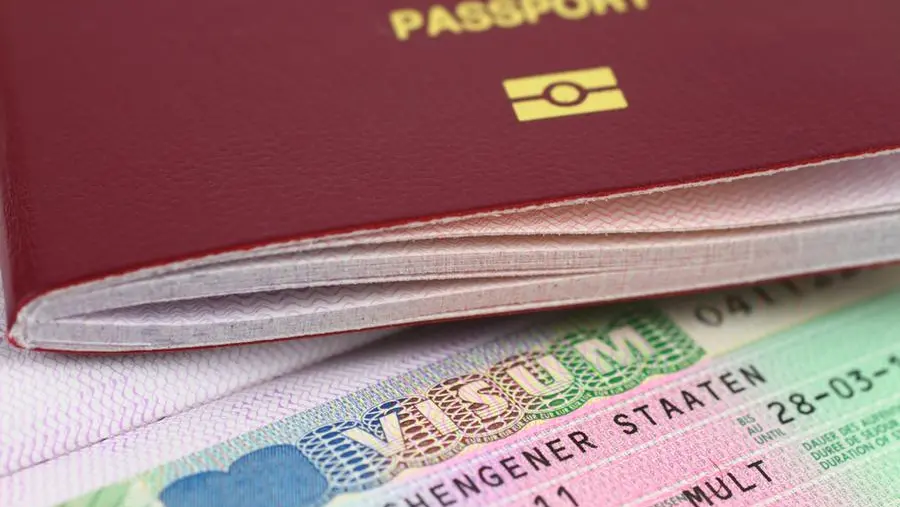 VIDEO: New Schengen visa rules: Multiple-entry permits, 5-year validity for GCC, Indian visitors