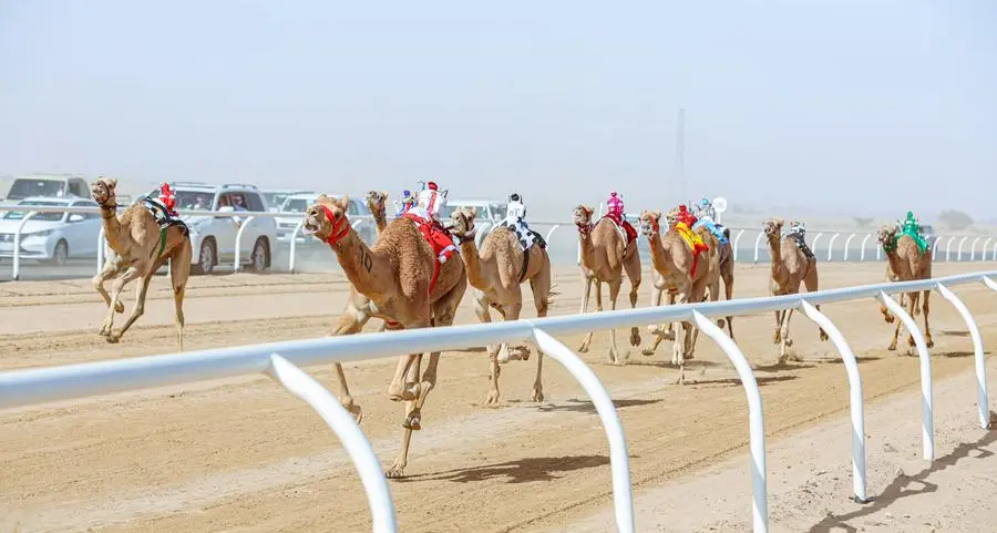Saudi: AlUla Camel Cup's prizes worth more than $21.33mln