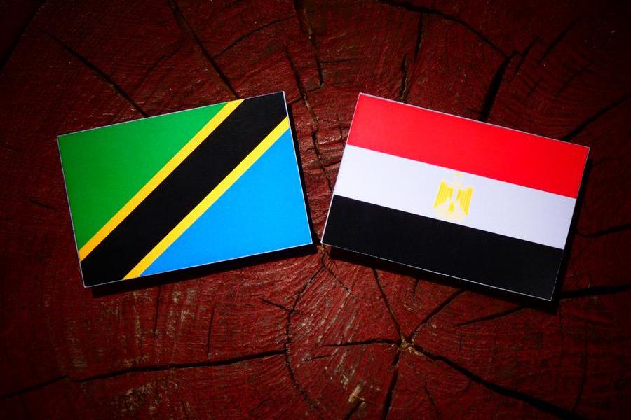 Egypt, Tanzania probe expanding trade, logistics cooperation