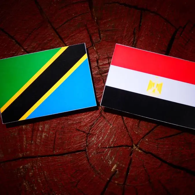 Egypt, Tanzania probe expanding trade, logistics cooperation