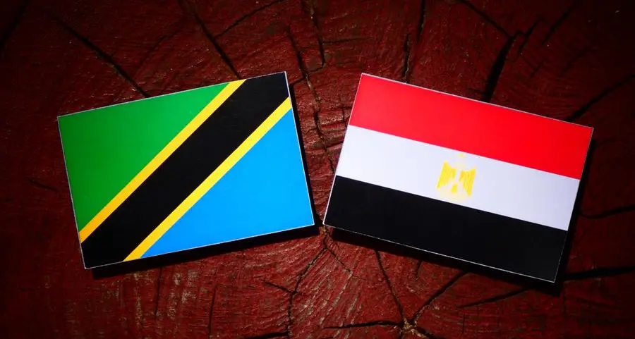 Egypt, Tanzania probe expanding trade, logistics cooperation