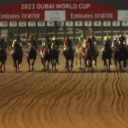 UAE's best milers compete for bragging rights at Meydan
