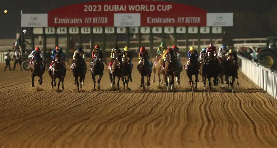 UAE's best milers compete for bragging rights at Meydan