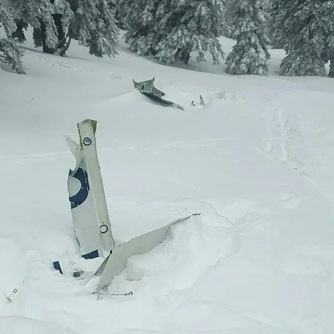 Small plane crashes in Austria, killing 4 people